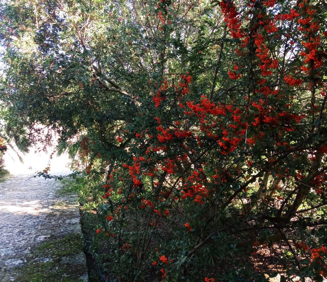 Agriturismo Pedru Caddu Villa Tula Kültér fotó