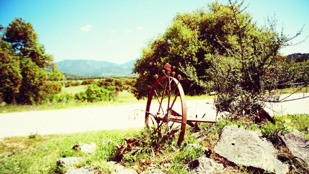 Agriturismo Pedru Caddu Villa Tula Kültér fotó